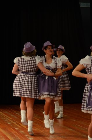 umzug simmern_140301_vb_340